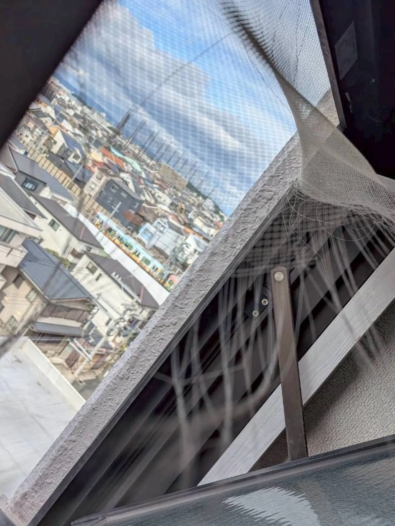 これからの時期たくさんご依頼あります。