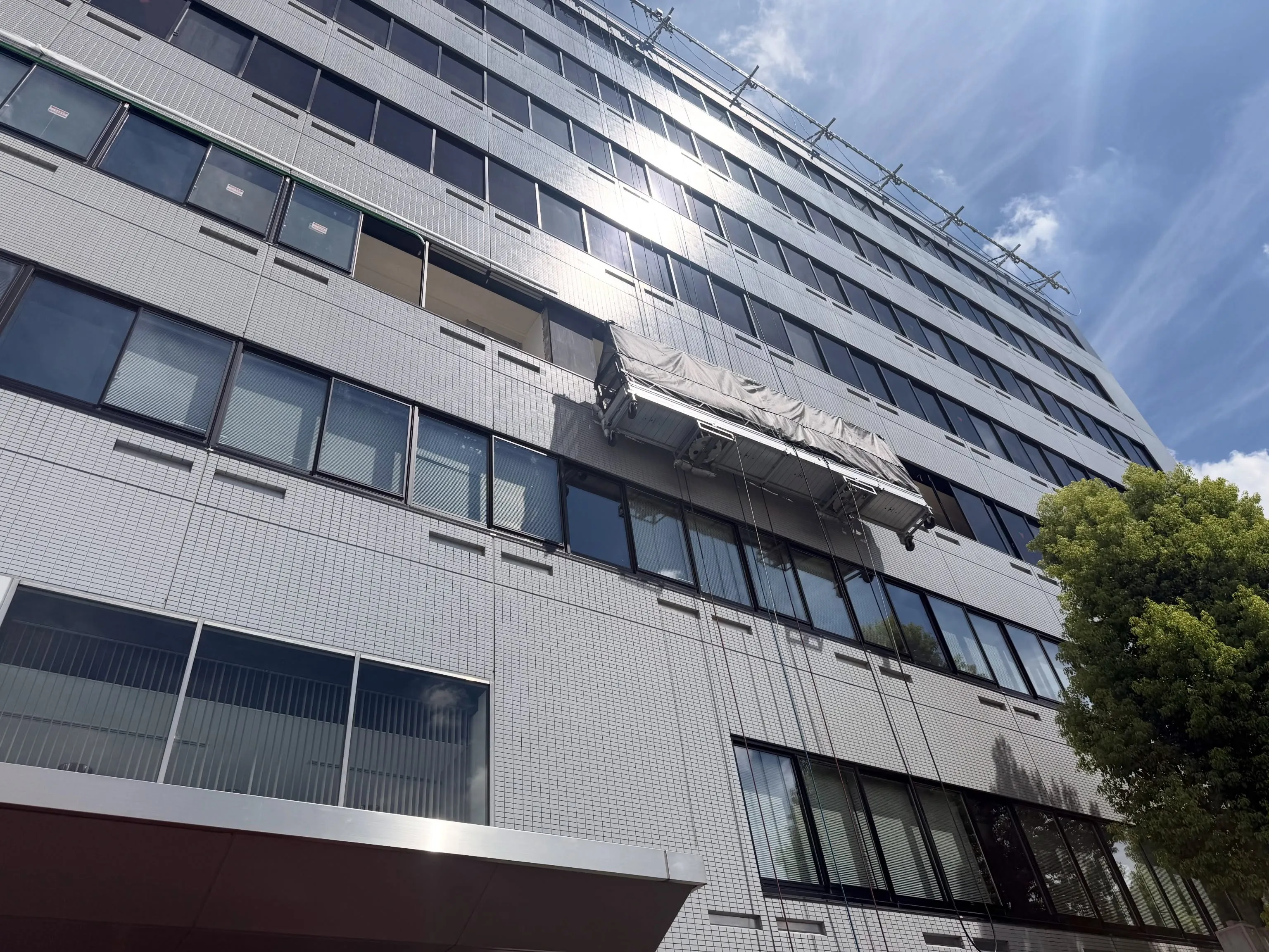 からの毎日ゴンドラ☀️